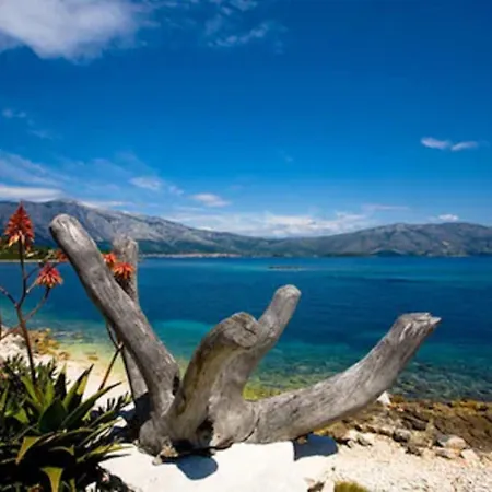 Albergue Dragan's Den Korčula