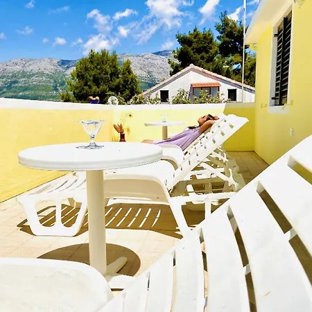 Hostel Dragan's Den *