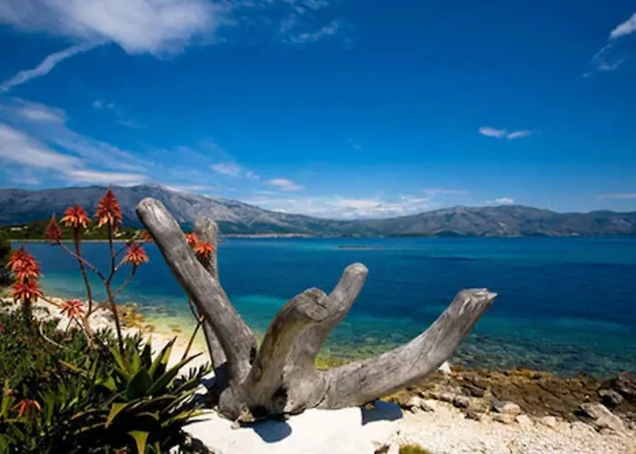 Hostel Dragan's Den Korčula